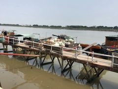 -大湾区中央湿地公园-十九涌