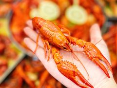 -金陵暴走小龙虾·迷踪蟹(凯德MALL店)