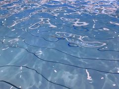 -上海浦东星河湾酒店