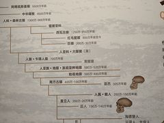 -四川大学博物馆