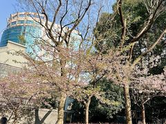 -南京西路(地铁站)