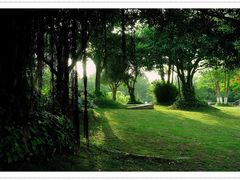 -厦门国家会计学院