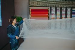 -太湖雪蚕桑文化园