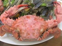 -抹直口特色菜馆(一店)