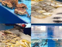 -麦德龙(浦东店)