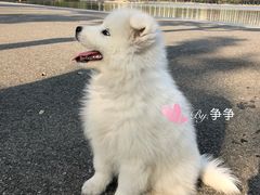 -尚贤河湿地