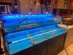 -太湖饭店玉兰厅(自助餐厅)