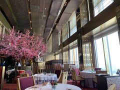-金轩中餐厅 Jin Xuan(浦东丽思卡尔顿酒店)