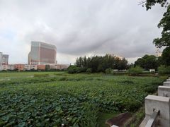 -龙环葡韵住宅式博物馆