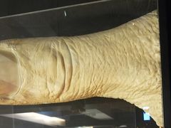 -证大大拇指广场(芳甸路店)