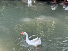 -兰亭风景区