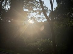 -火炉山森林公园