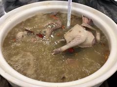 -鸽鸟轩(石岐店)