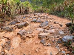 -梧桐山风景名胜区