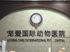 -宠爱国际动物医院· 猫科· 外科·中兽医(长白店)