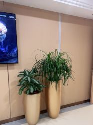 -南京康美美容医院·旗舰店