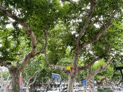 -长江路历史文化街区