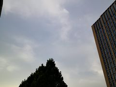 -王虎子大饼(甸柳新村五区店)