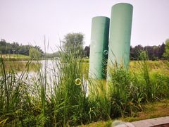 -西安浐灞国家湿地公园