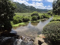 -中国茶叶博物馆(双峰馆区)