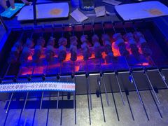 -很久以前羊肉串(打浦路店)