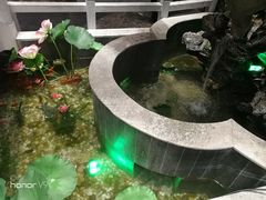 -淮扬楼(文港路店)