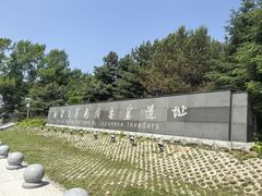 -虎头要塞