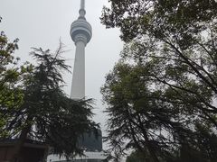 -龟山风景区-龟山电视塔