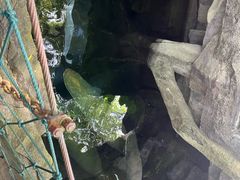 -青青世界