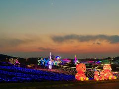 -大塘金香草谷