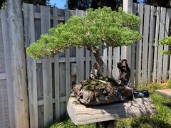 -汉庭顿图书馆