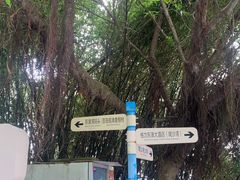 -东澳岛