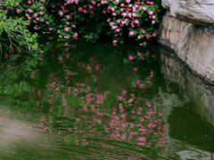-北京动物园