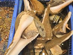 -吴记富苑(朝阳店)