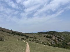 -大姆山草场