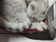 -小时光咖啡馆(北锣鼓巷店)
