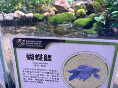 -正佳雨林生态植物园