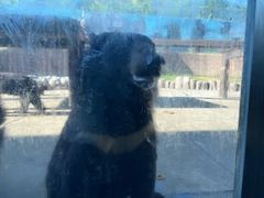 -南京金牛湖风景区