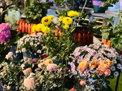 -山水茶艺馆·点心粤菜·30年老字号