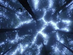 -山王坪喀斯特国家生态公园