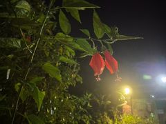 -天芳悦潭度假村温泉