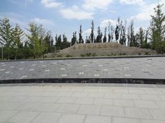 DSC08300-永定河休闲森林公园