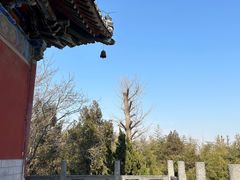 -洛阳白马寺