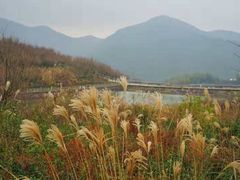 -宁波余姚老柿林山居度假村