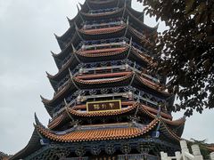 -铁山坪森林公园