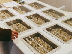 -% Arabica阿拉比卡咖啡(武汉天地店)