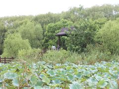 -小六农家乐(崇明西沙湿地店)