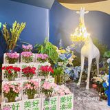超级正宗的新加坡料理  