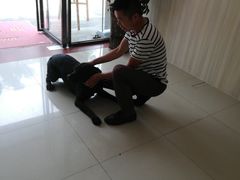 -瑞派康怡24h宠物医院·犬猫医疗中心·微创绝育(瑞景分院)