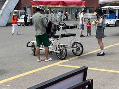 -日照海滨国家森林公园
